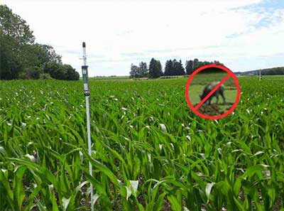Wiese-Feld-mit-Wildrettungssystem Wiese-Feld-mit-Wildrettungssystem