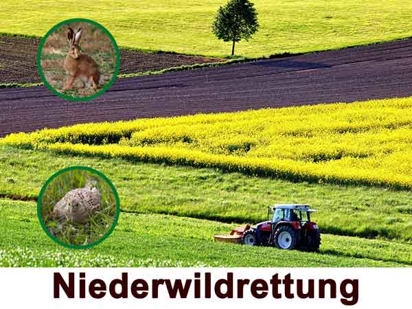 Niederwildrettung