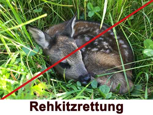 Ungeeignet zur Kitzrettung