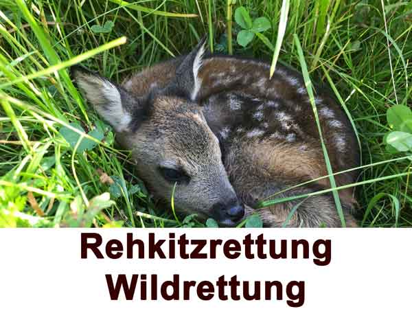Rehkitzrettung